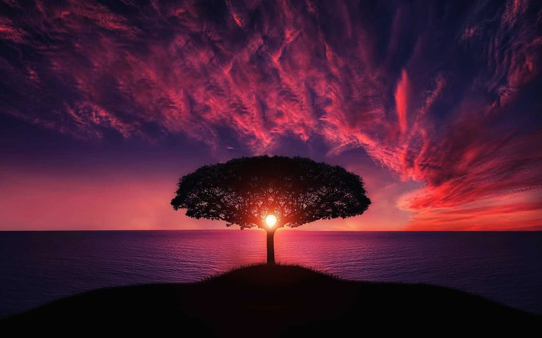 Khilafat – A Tree of Blessings